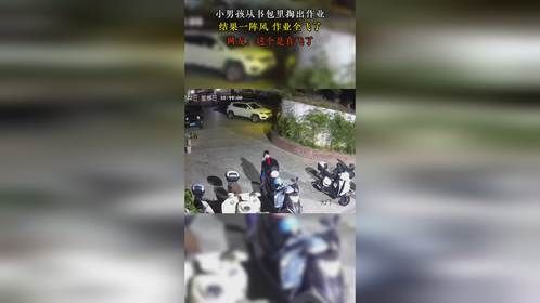 小男孩从书包里掏出作业，结果一阵风 作业全飞了