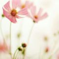 https://p1.meituan.net/userheadpicbackend/8fb3f7d3304da7ca95e4e56822b6313f36200.jpg%40120w_120h_1e_1c_1l%7Cwatermark%3D0