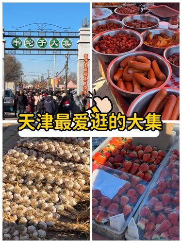 天津最爱逛的大集耶