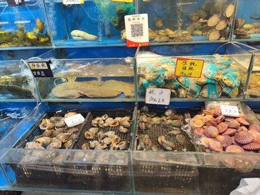 打卡大直沽菜市场