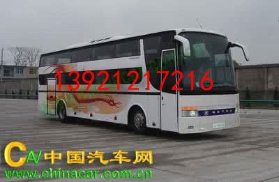 从宁波到广州汽车快件托运客车物流宠物托运