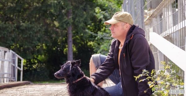 新手适合养哪种大型犬_新人养狗想养一只宠物狗，喜欢小型犬，短毛，比较好培养的