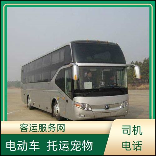 织里到济南客车时刻表班次查询表(路线+票价)宠物托运