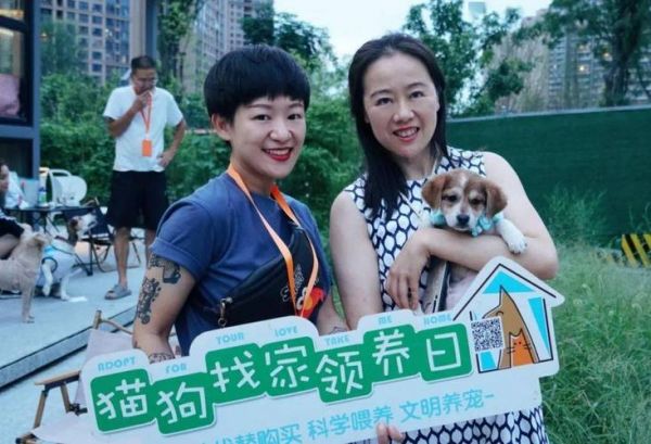 郑州领养宠物?郑州领养宠物的地方!
