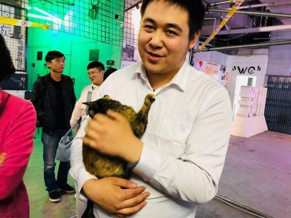 在郑州这里，有一群猫猫狗狗在等着你们领养回家!