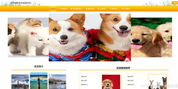 基于SpringBoot+Vue的流浪猫狗救援网站设计与实现(源码+lw+数据库+讲解)