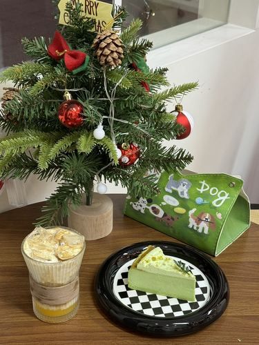 深圳很温馨的狗咖！圣诞浓厚