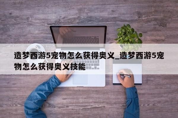 造梦西游5宠物怎么获得奥义_造梦西游5宠物怎么获得奥义技能