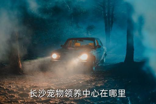 长沙宠物领养中心在哪里