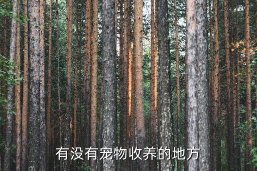 有没有宠物收养的地方