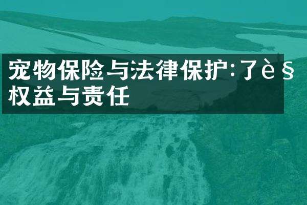 宠物保险与法律保护:了解权益与责任