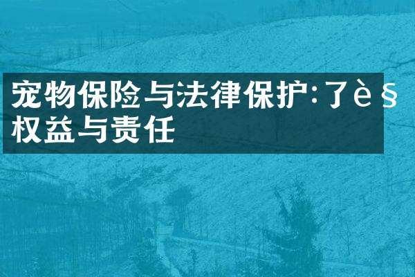 宠物保险与法律保护:了解权益与责任