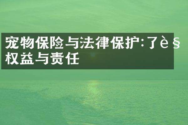 宠物保险与法律保护:了解权益与责任