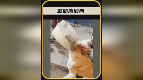 为这位男子的行为点赞