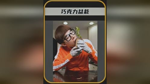 外国小哥拿起盆栽，竟然直接吃了下去