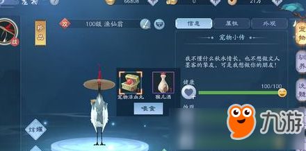 新笑傲江湖怎么回复宠物状态 宠护回复方法一览