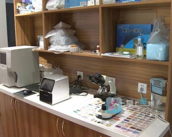 宠物医院收费有标准吗？