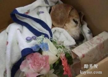中山市宠物安乐,宠物骨灰盒,中山宠物火化服务中心
