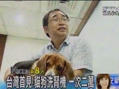 台湾首现猫狗洗肾机可提高7成存活率（图）