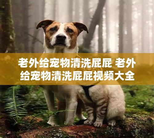 老外给宠物清洗屁屁 老外给宠物清洗屁屁视频大全