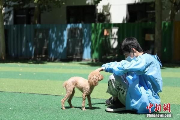 工作人员在室外同宠物狗玩耍。 <a target='_blank' href='/'>中新社</a>记者 蒋启明 摄