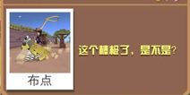 疯狂动物园狮子怎么抓