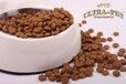 宠物零食大连进口报关不需要批文了