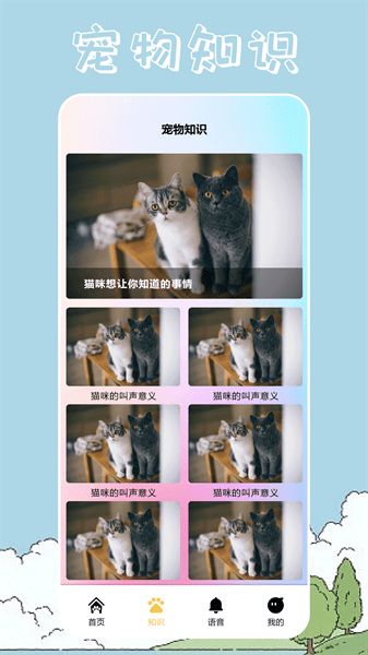 桌面宠物壁纸软件v1.4 安卓版 2