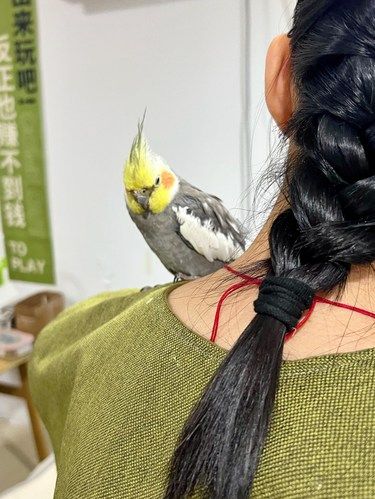 小鸟亲亲～超治愈