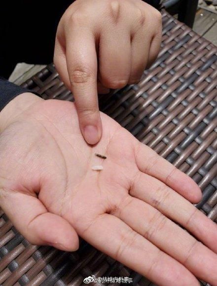 宠物注射电子芯片