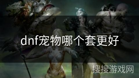 dnf宠物哪个套更好