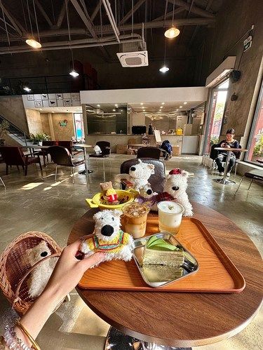北京新店！！300㎡小狗咖啡店