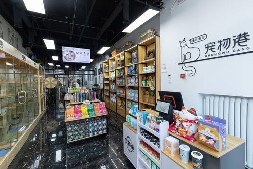 咸阳宠物店位置在哪个位置好呢