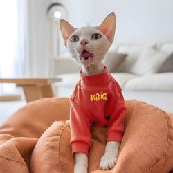 金锚 宠物猫咪狗狗衣服秋冬新款德绒喜庆红卫衣加绒保暖中小型犬打底衫