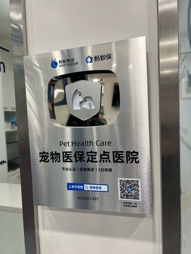 带着毛孩子体检的一天