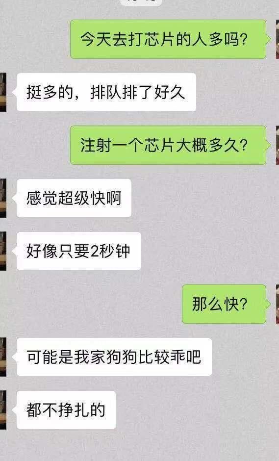如何找到跑丢的狗？宠物芯片/定位项圈真的有用吗？