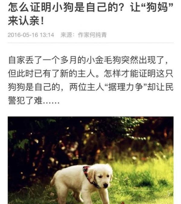 如何找到跑丢的狗？宠物芯片/定位项圈真的有用吗？