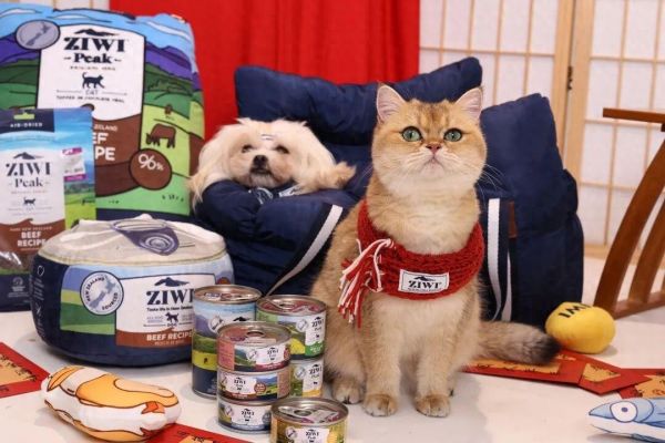分销超 1.2 万家宠物店,ZIWI 携手海际它品持续赋能线下