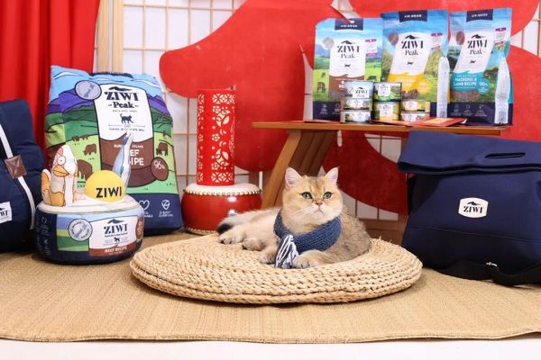 分销超 1.2 万家宠物店,ZIWI 携手海际它品持续赋能线下