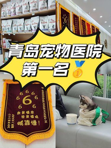 不愧是宠物医院的天花板！！！