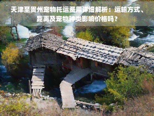 天津至贵州宠物托运费用详细解析：运输方式、距离及宠物种类影响价格吗？