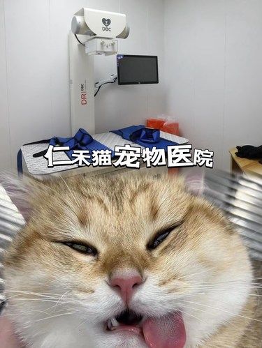 在安庆❗️终于找到靠谱的宠物医院啦‼️