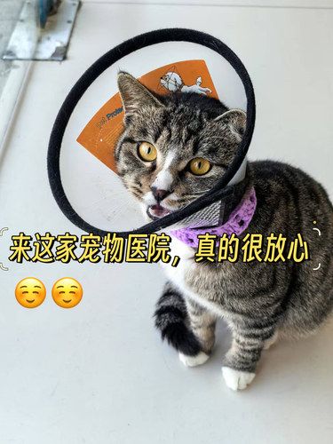 来这里真的很放心，医生技术太好了‼️