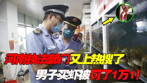 河南执法部门又上热搜了！男子买虾炒菜，反被市监局罚了1万1！