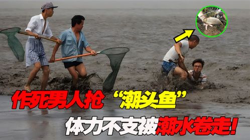 钱塘江大潮来临！作死男人抢“潮头鱼”，体力不支被卷走