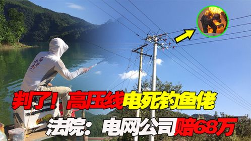 判了判了！网红钓鱼佬触碰高压线当场烧焦，“电力公司”赔68万