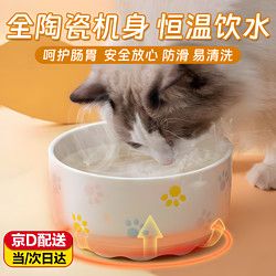 智宙 猫咪恒温饮水机猫喝水器酸奶机猫碗冬季自动循环宠物加热陶瓷水碗 陶瓷加热水碗-爪印款 350毫升