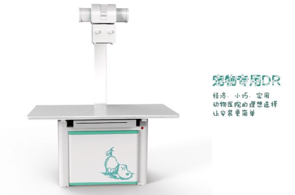 动物DR