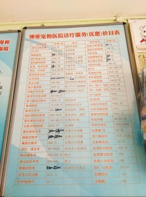 宠物医院拍片子多少钱,宠物医院收费价目表