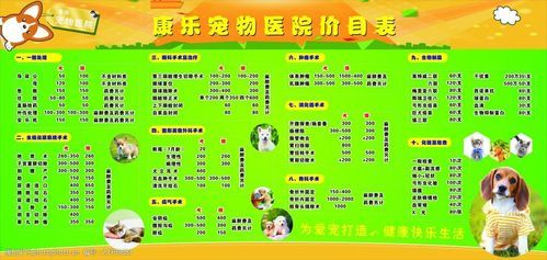 宠物医院拍片子多少钱,宠物医院收费价目表
